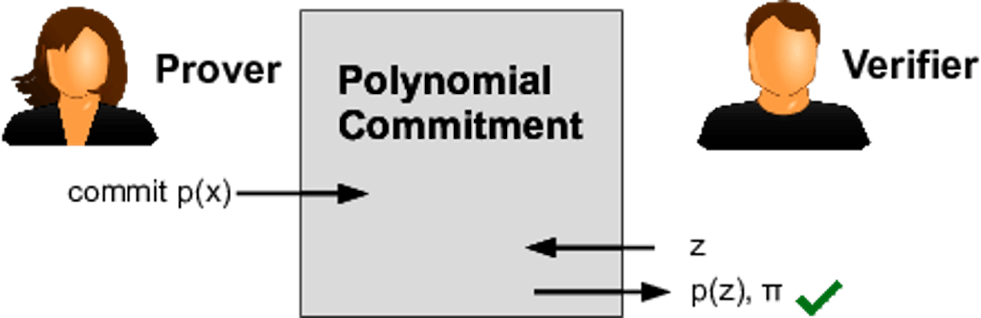 The polynomial commitment of zero-knowledge proof (Source: Hermez)