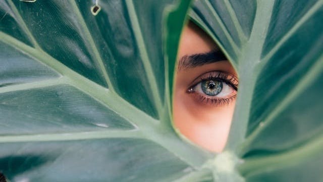 featured image - Computer Vision Applications are Everywhere: Top Use cases in 2021