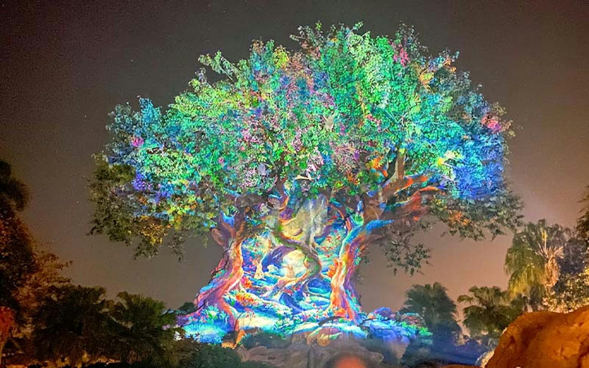 Image Description: Disney’s Tree of Life 