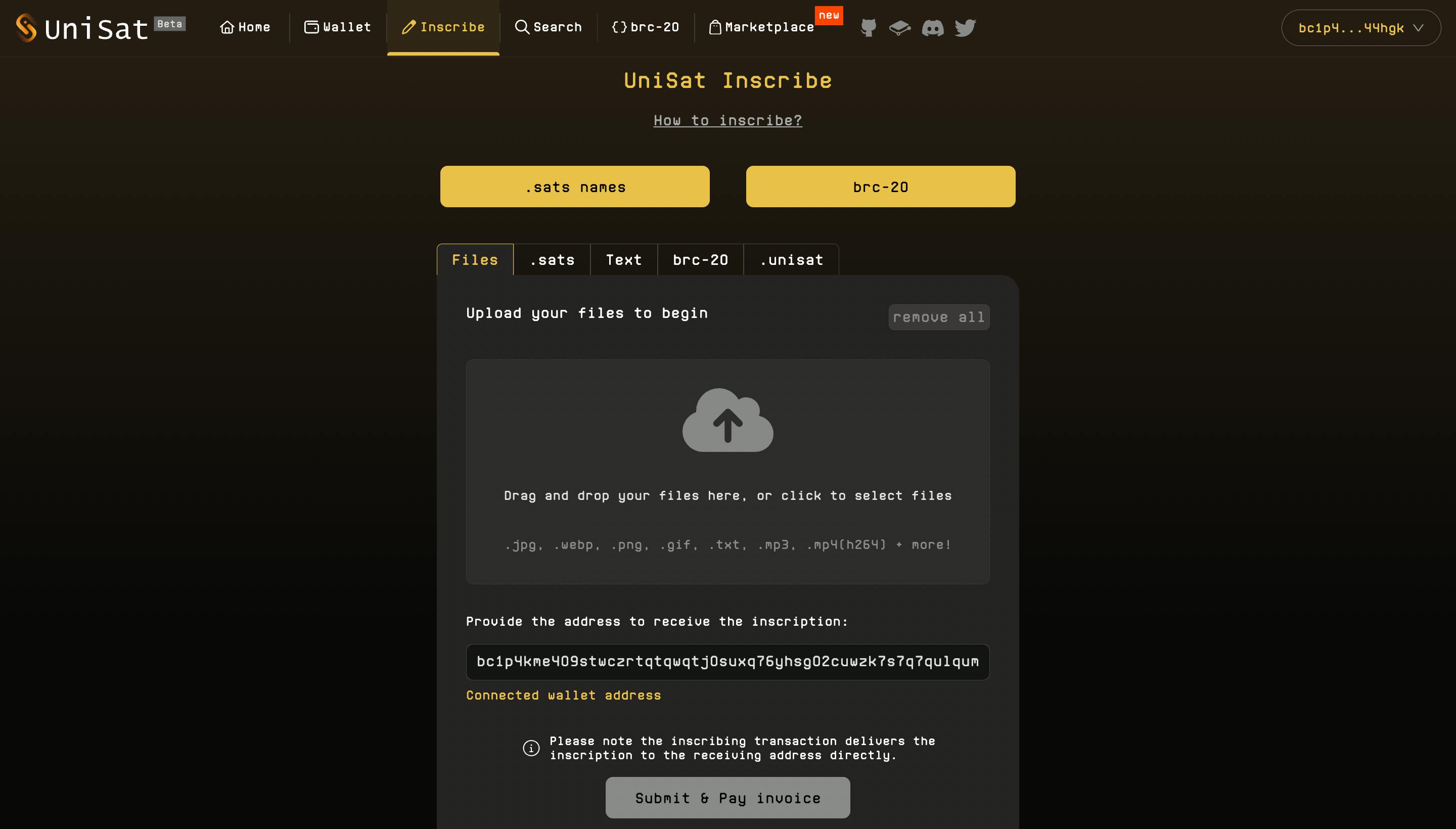 How to Deploy BRC20 token in Bitcoin network: Ecosystem overview |  HackerNoon