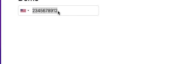 Custom Numeric Input How to Create Custom Form Control for the Phone Number Input Field ...