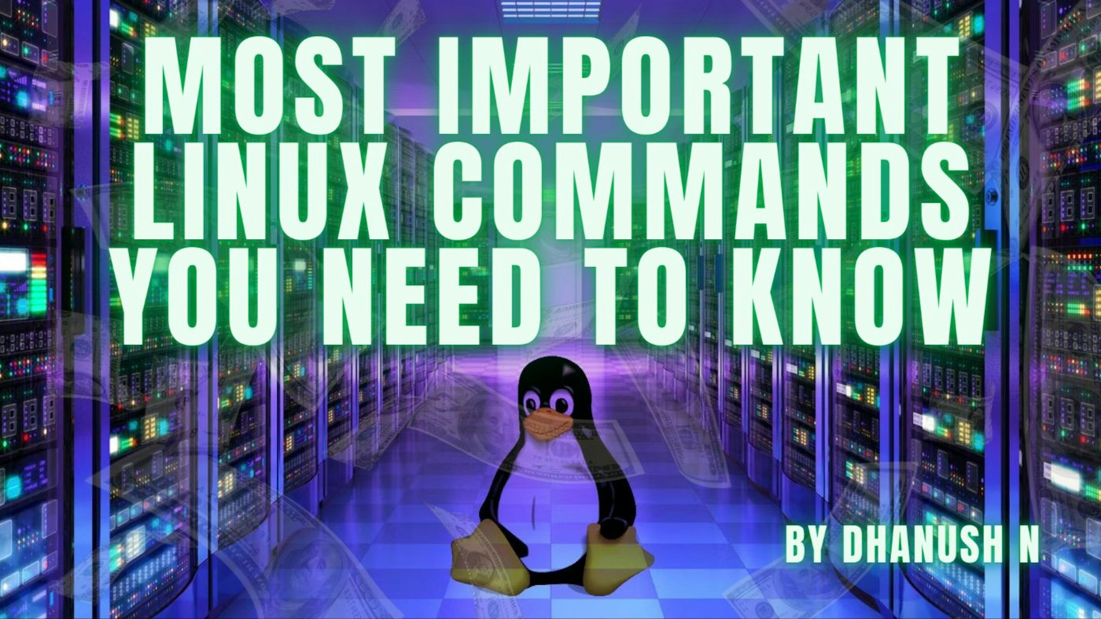featured image - The Most Important Linux Commands You Need To Know!!!