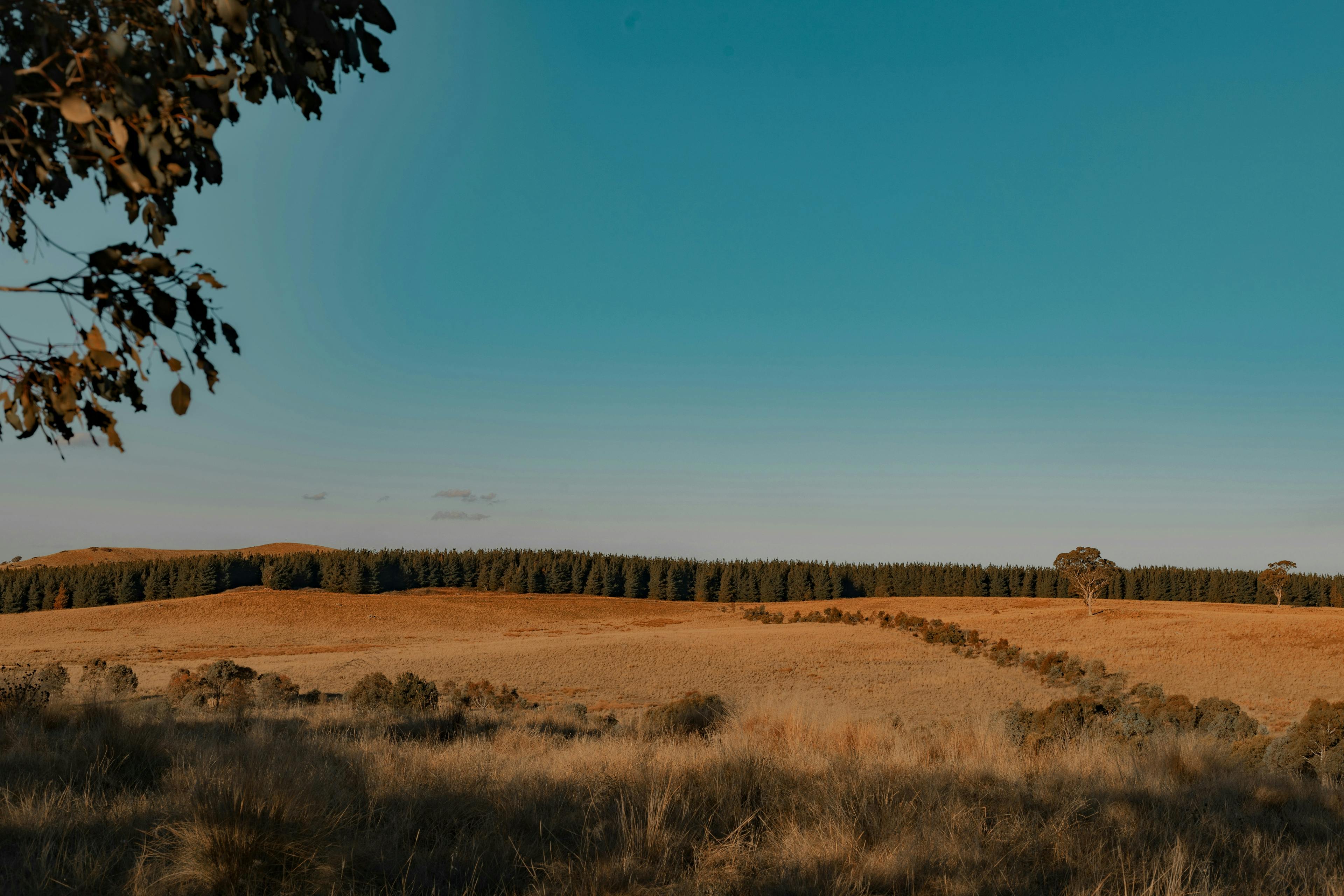 featured image - Range Over Function Types: The New Feature in the Go 1.23 Release