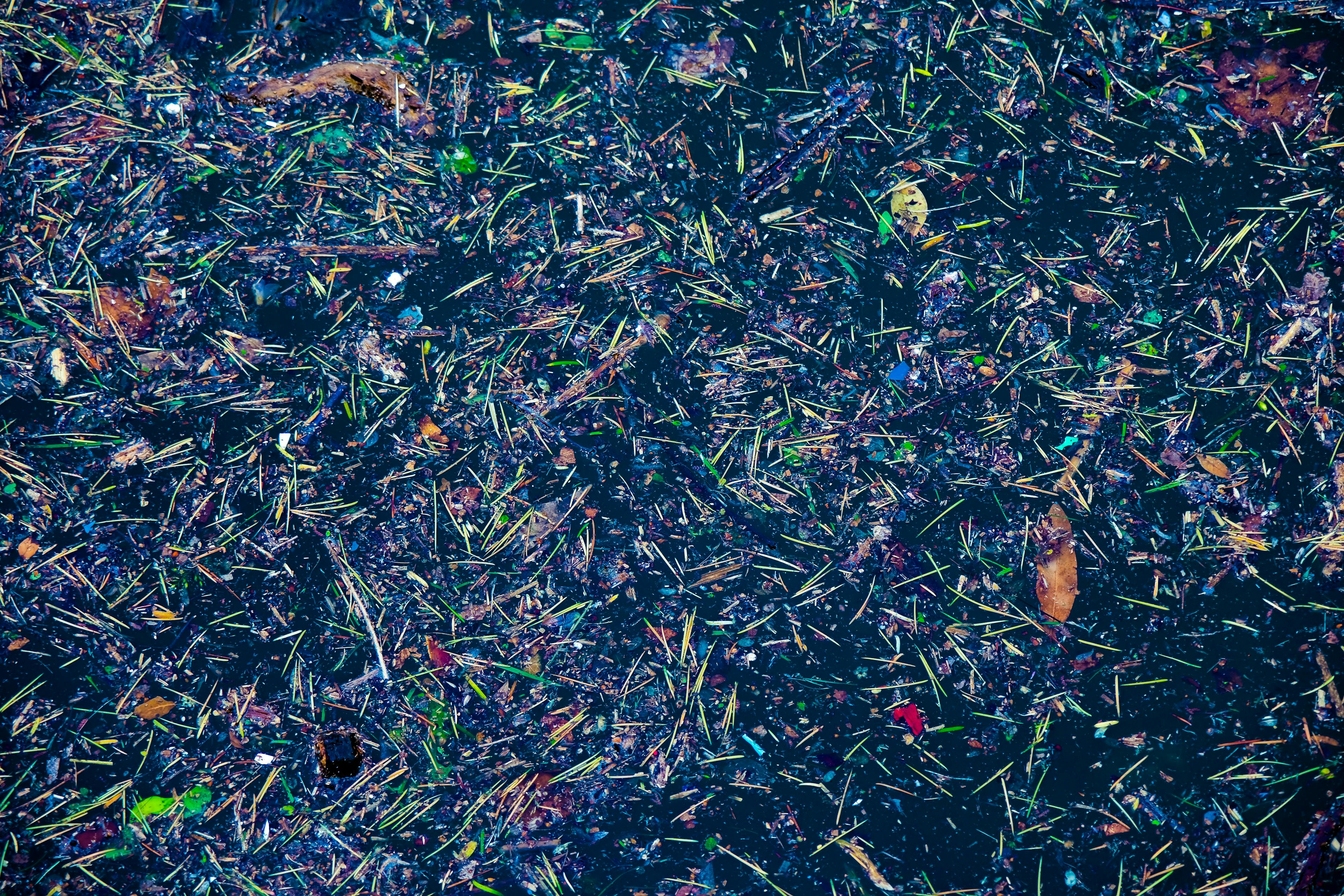 featured image - A Conversation with Kashmir Hill: Envisioning a Chaotic Future