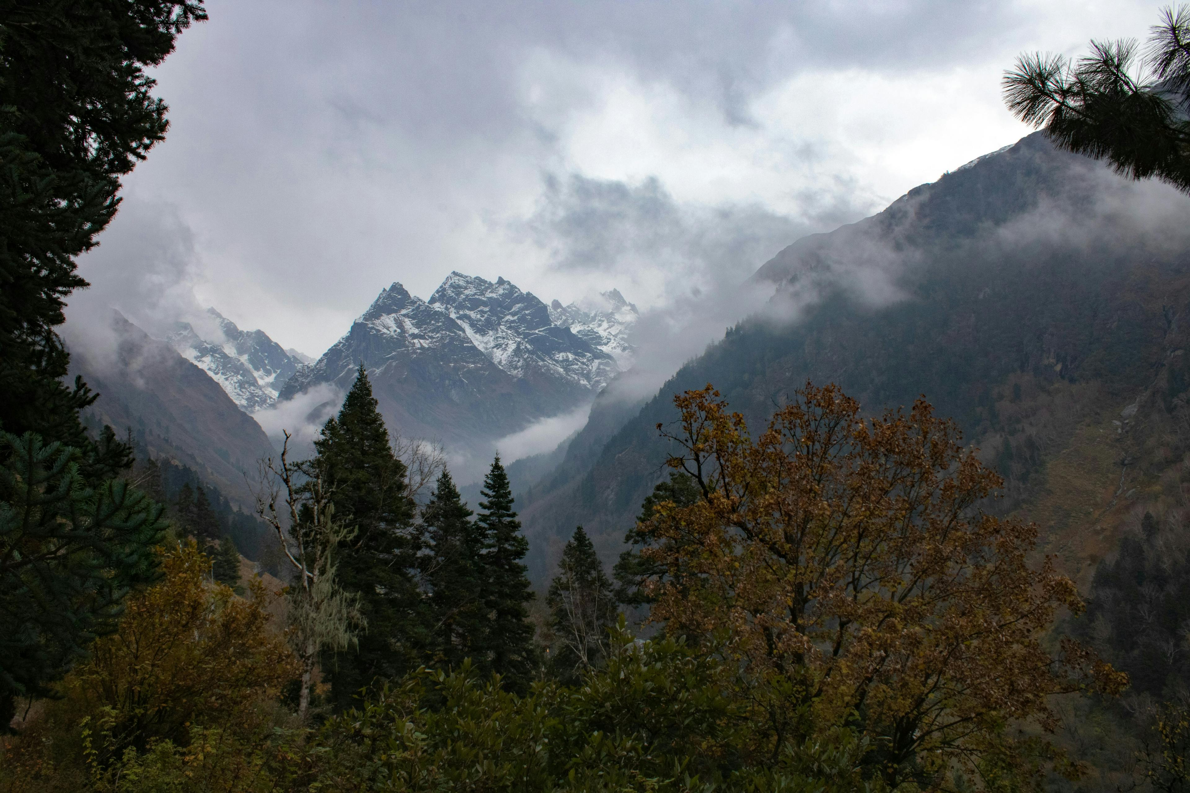 featured image - Rust 1.80.0: Exclusive Ranges in Patterns, Stabilized APIs, and More