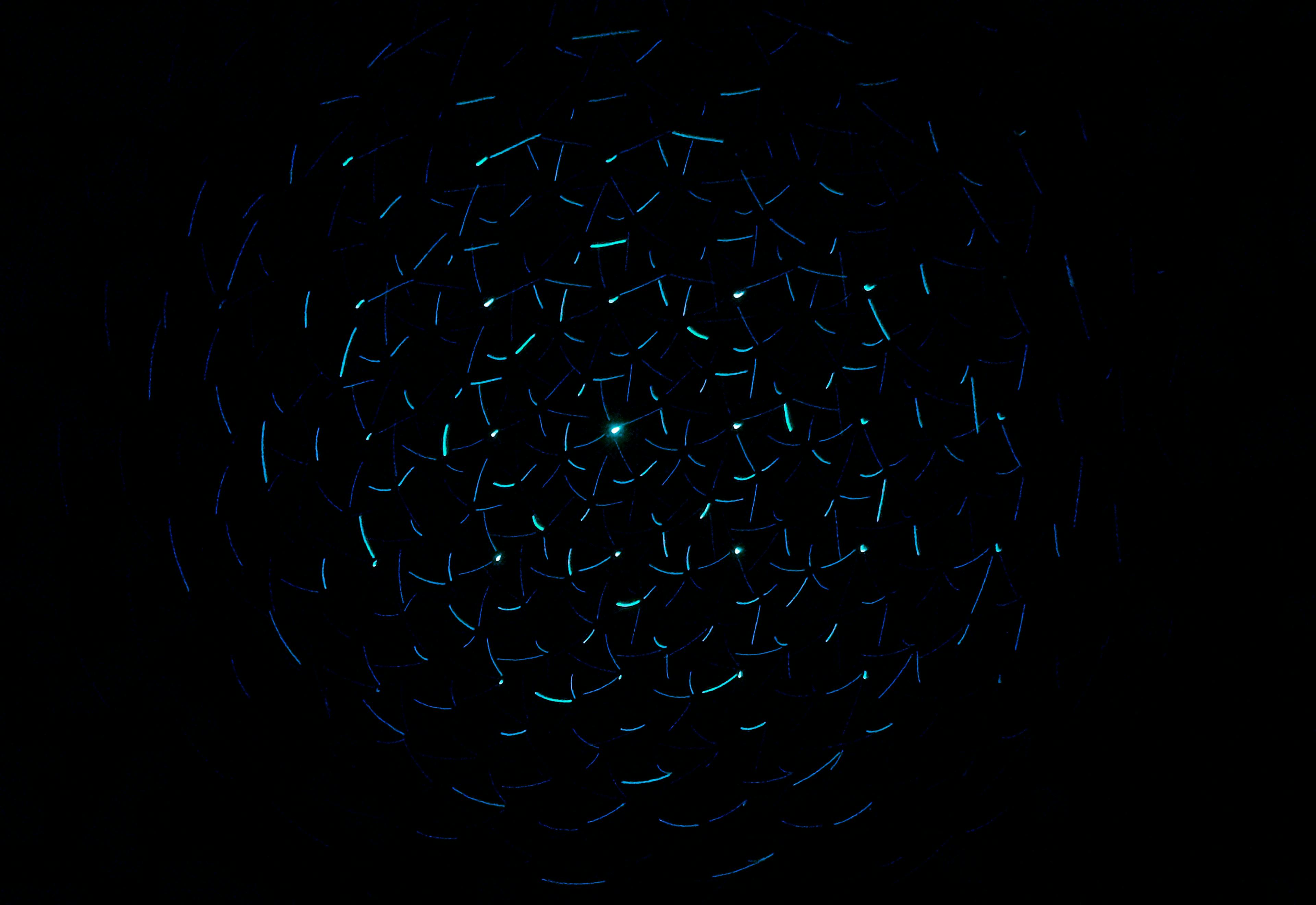 featured image - The Highlights and Improvements of Godot 4.4 Beta 3