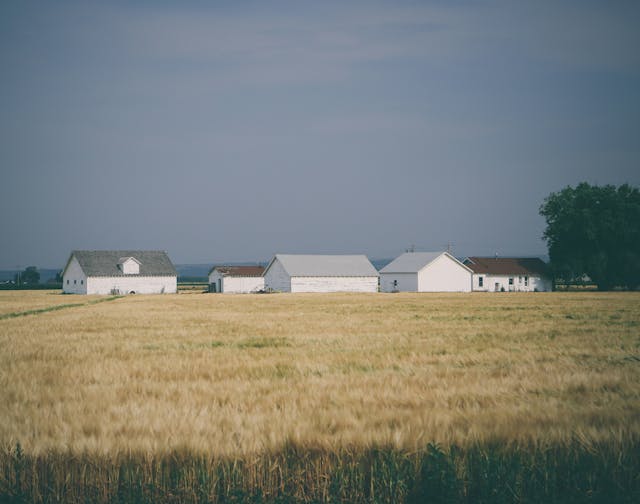 /the-black-rural-south-has-limited-access-to-the-internet-what-its-like feature image