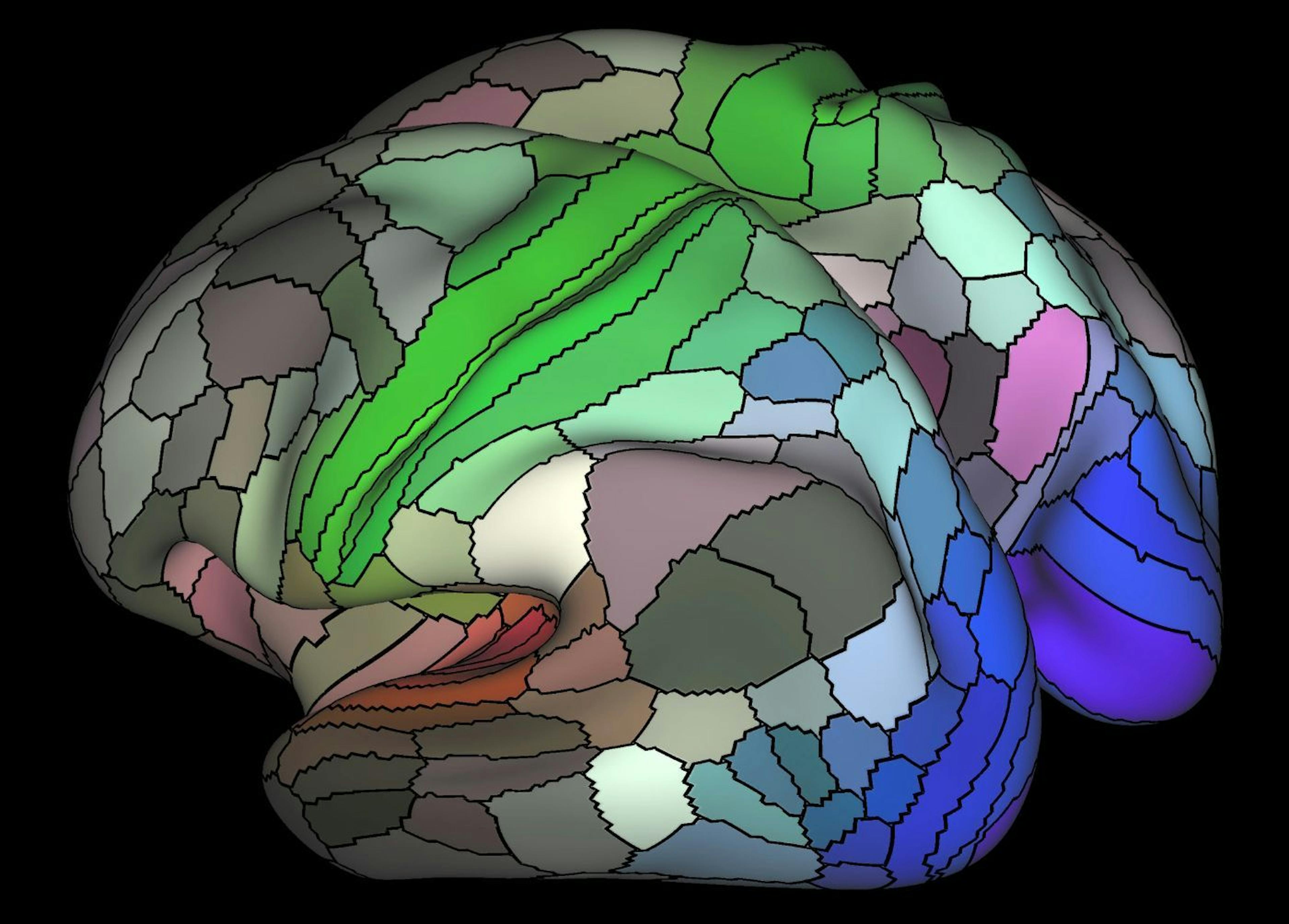 featured image - Sentience: AI, LLMs—Artificial Consciousness?