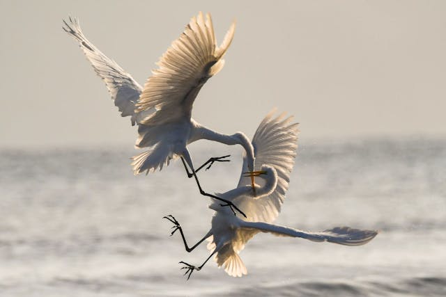 /understanding-51percent-attacks-on-bitcoin-and-blockchain feature image