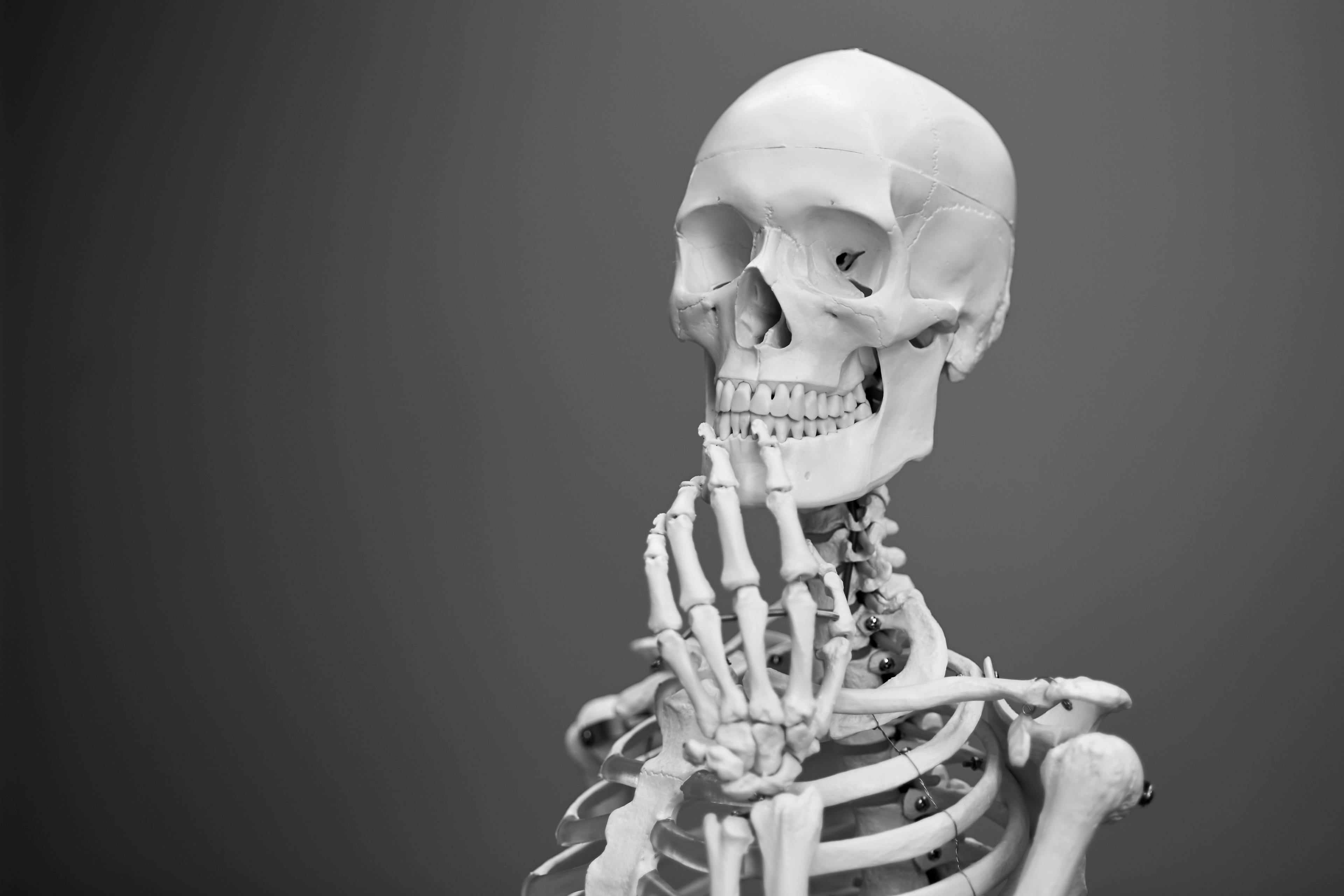 featured image - The Skeleton Modifier 3D: Its Design, Plus More