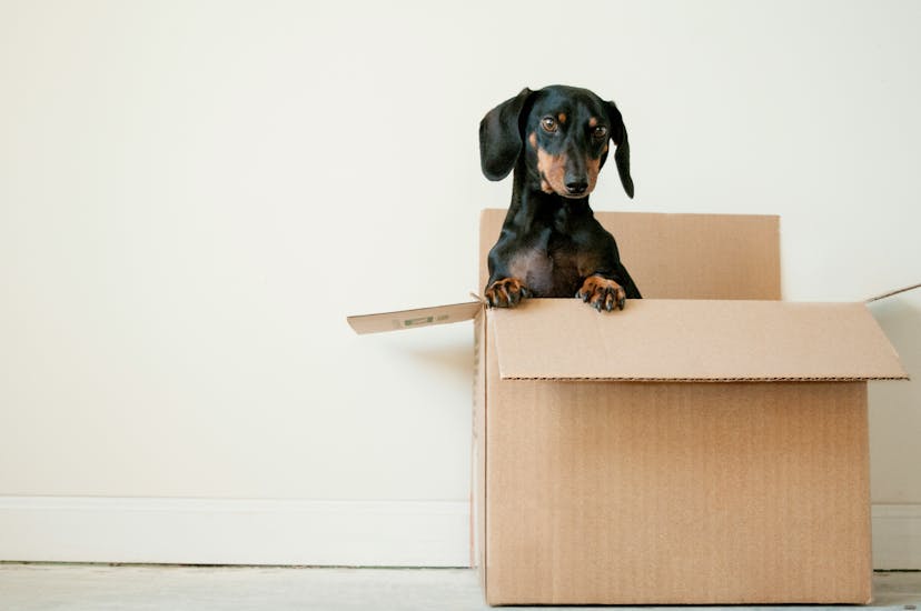 /c-packages-find-a-new-home-in-net-8-godot-engine feature image