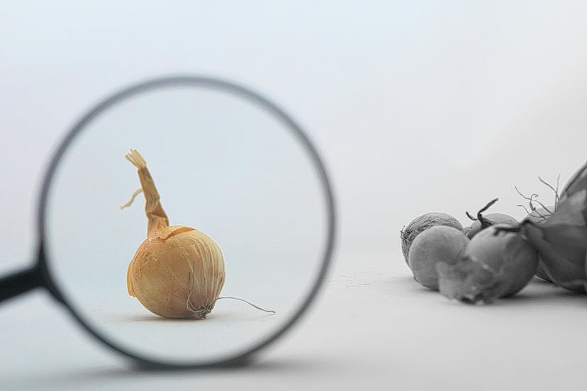 /the-automatic-checking-of-cfgs-how-it-works feature image