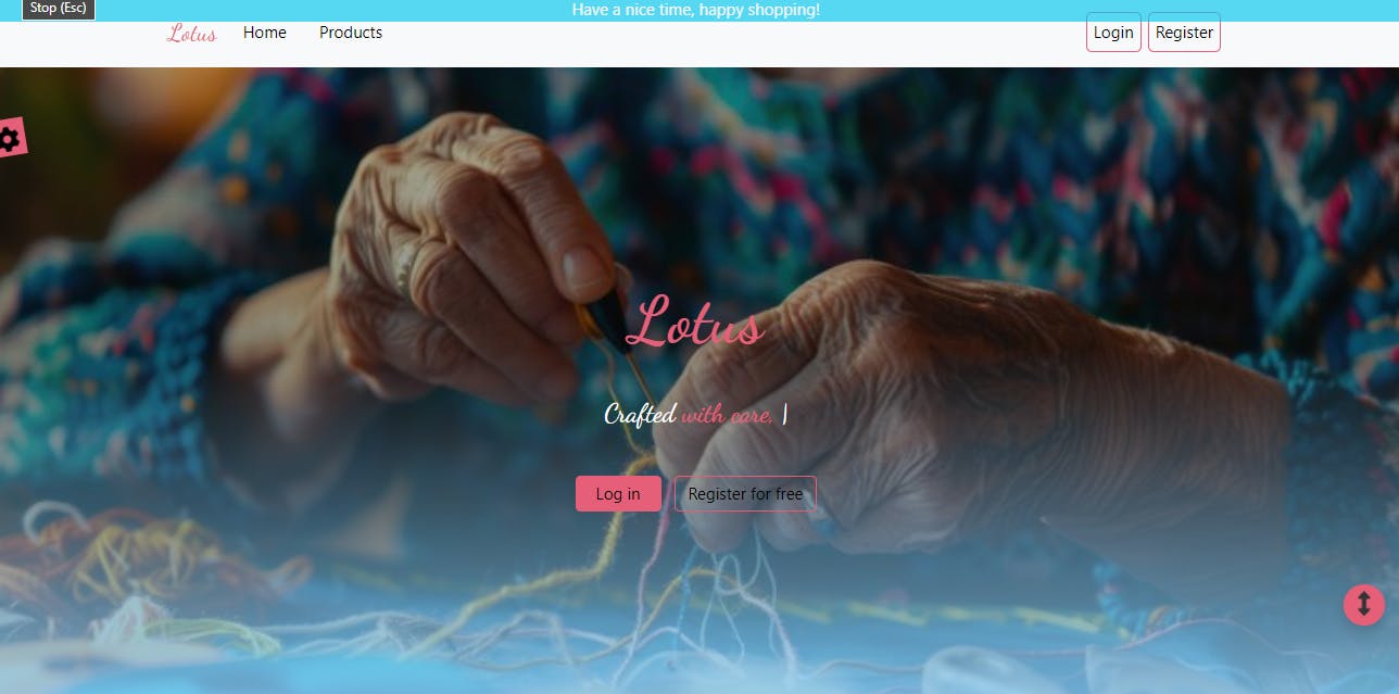 /my-little-journey-constructing-lotus-website feature image