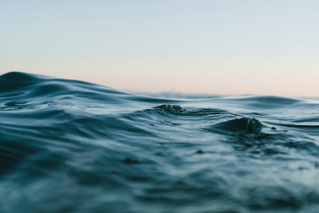 /want-to-know-how-to-handle-the-growing-flood-of-leaked-data-heres-how feature image