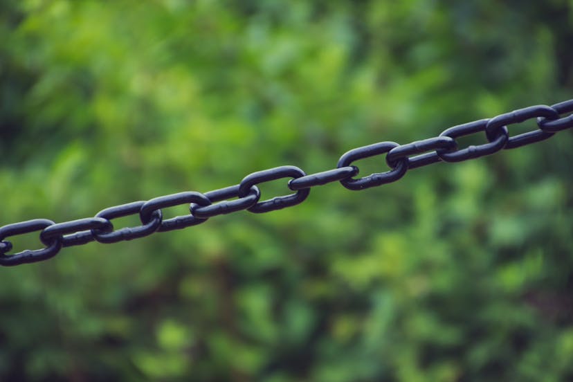 /reproducible-go-toolchains-what-you-need-to-know feature image