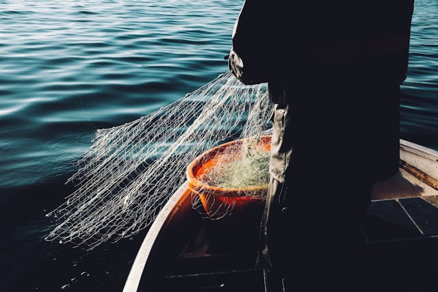 /foreign-private-equity-hooked-new-englands-fishing-industry-heres-how feature image