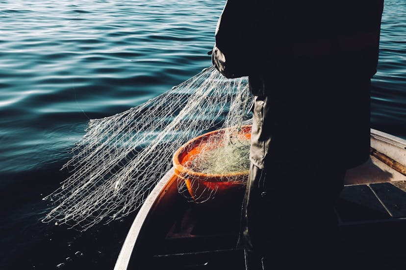 /foreign-private-equity-hooked-new-englands-fishing-industry-heres-how feature image