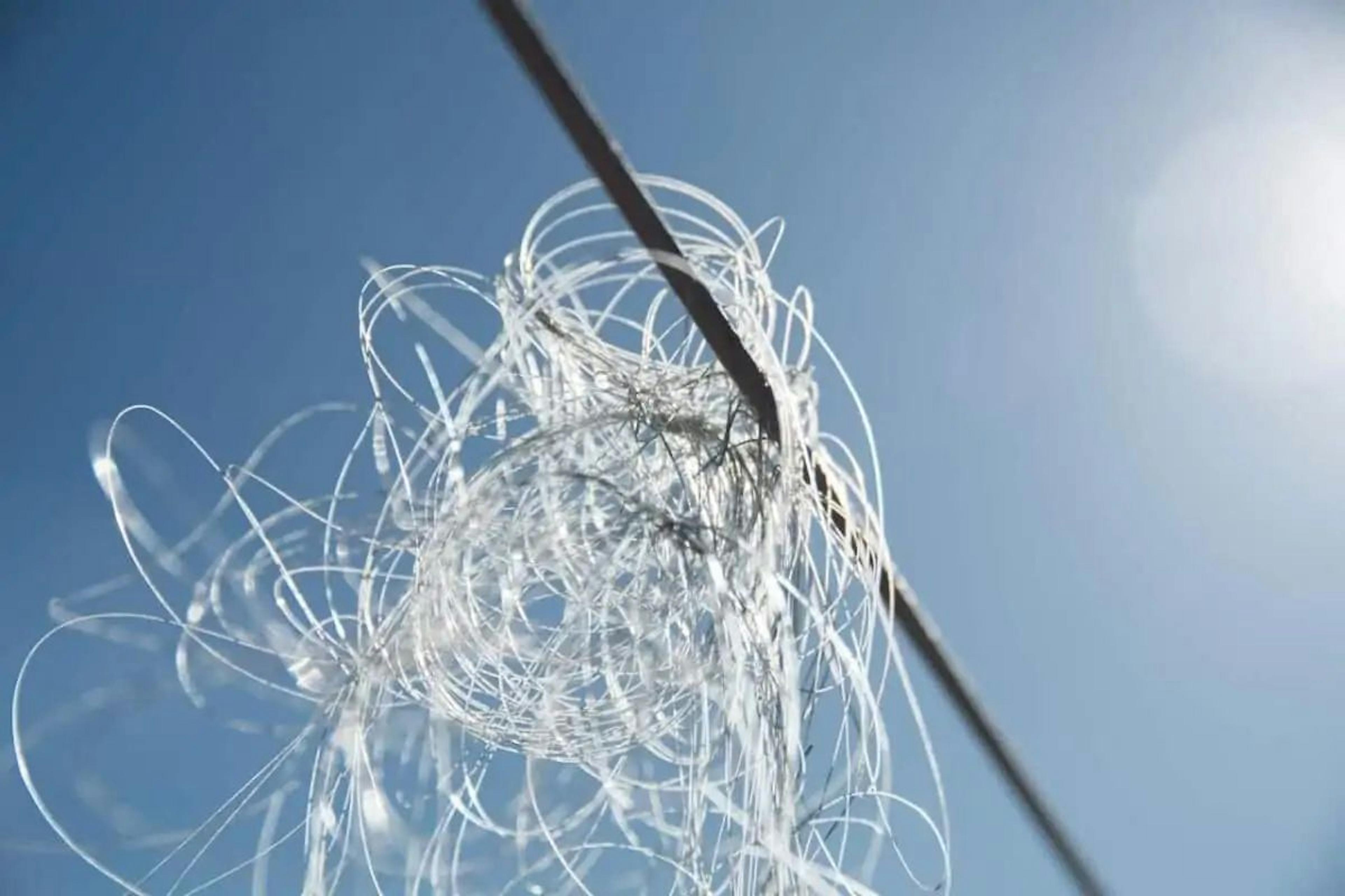 featured image - Biting Back Against Phishers