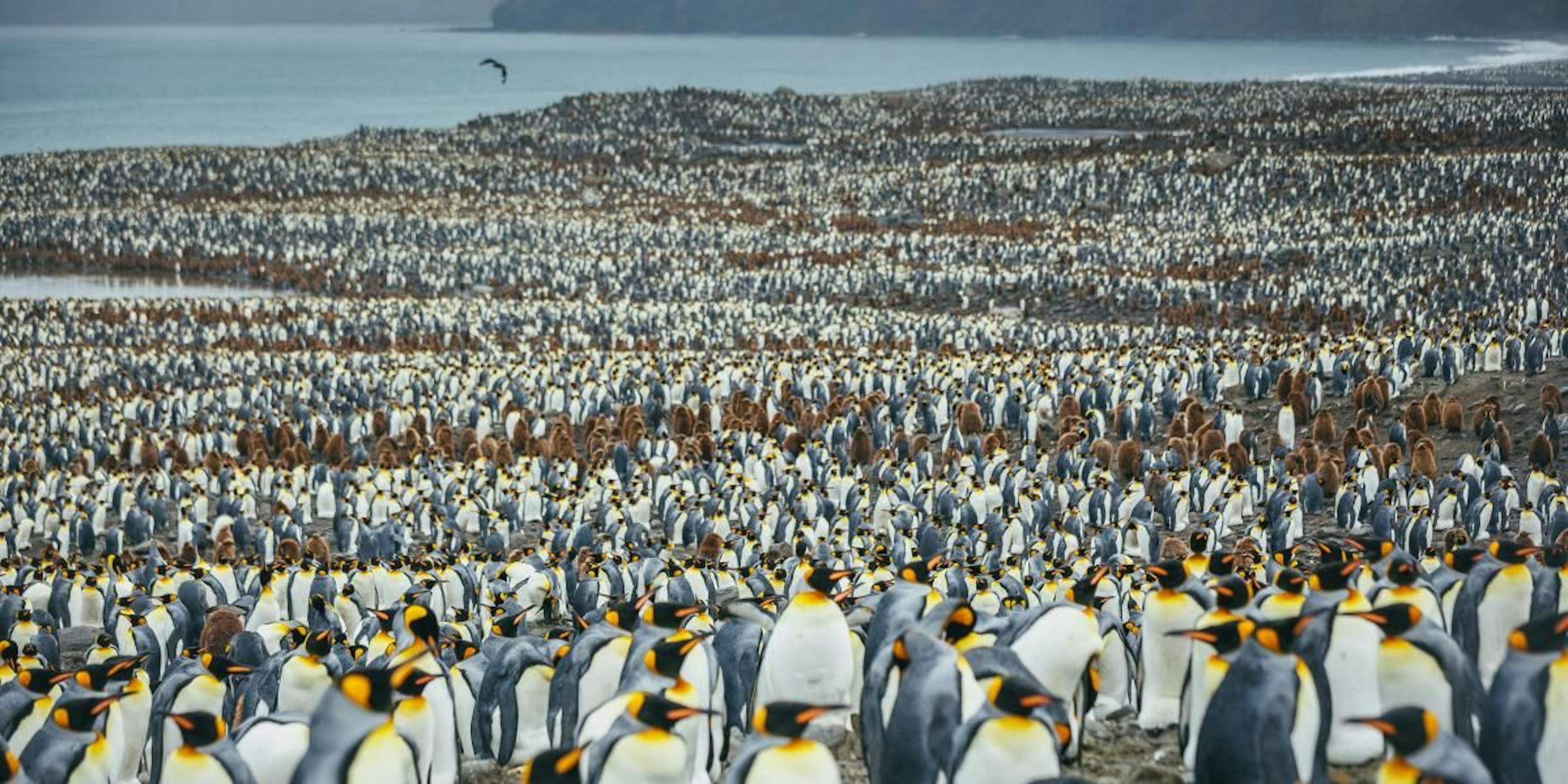 /decentralized-voting-system-for-the-blockchain-community-19h33l4 feature image