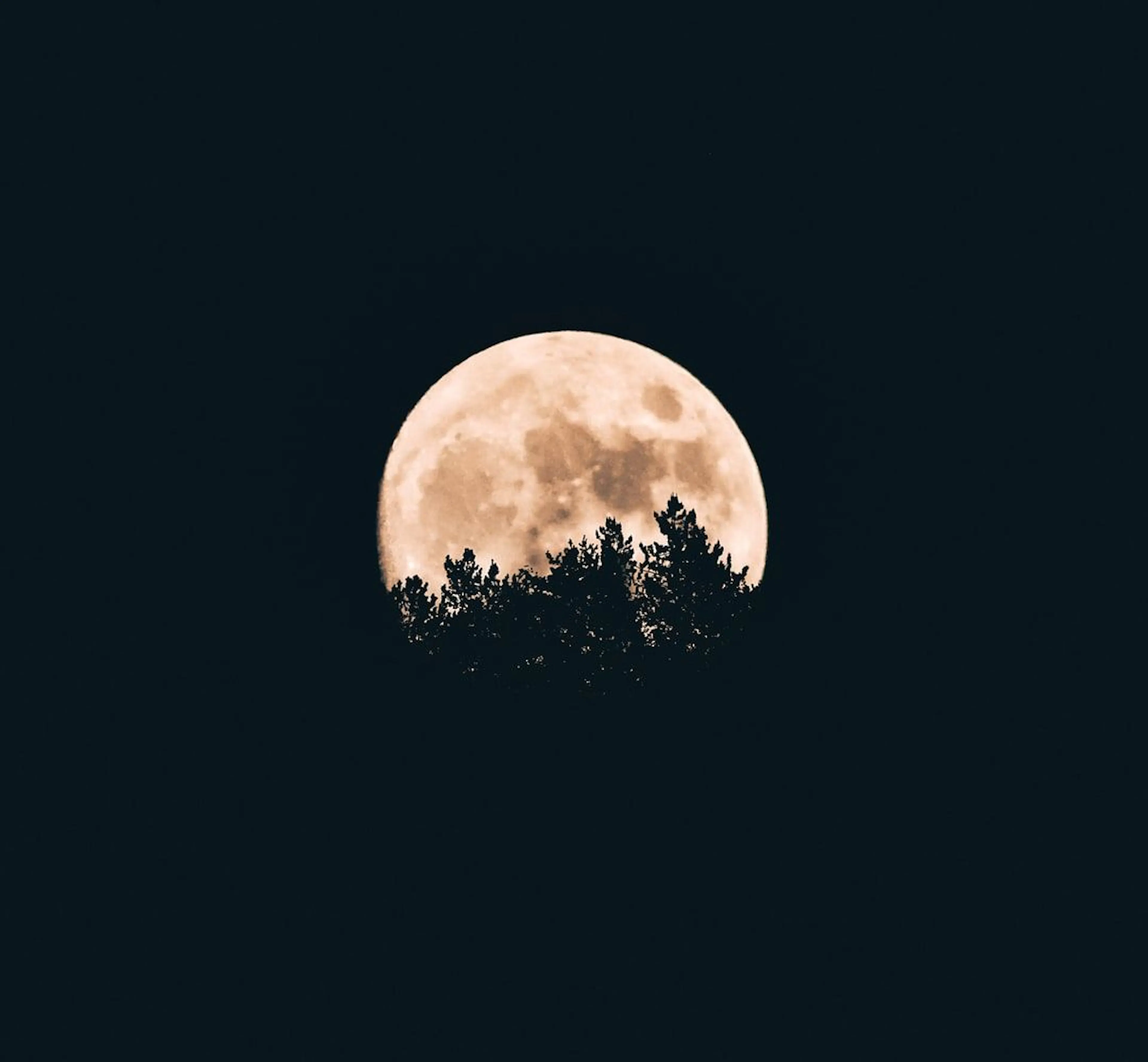 Learn Repo's image-62b88