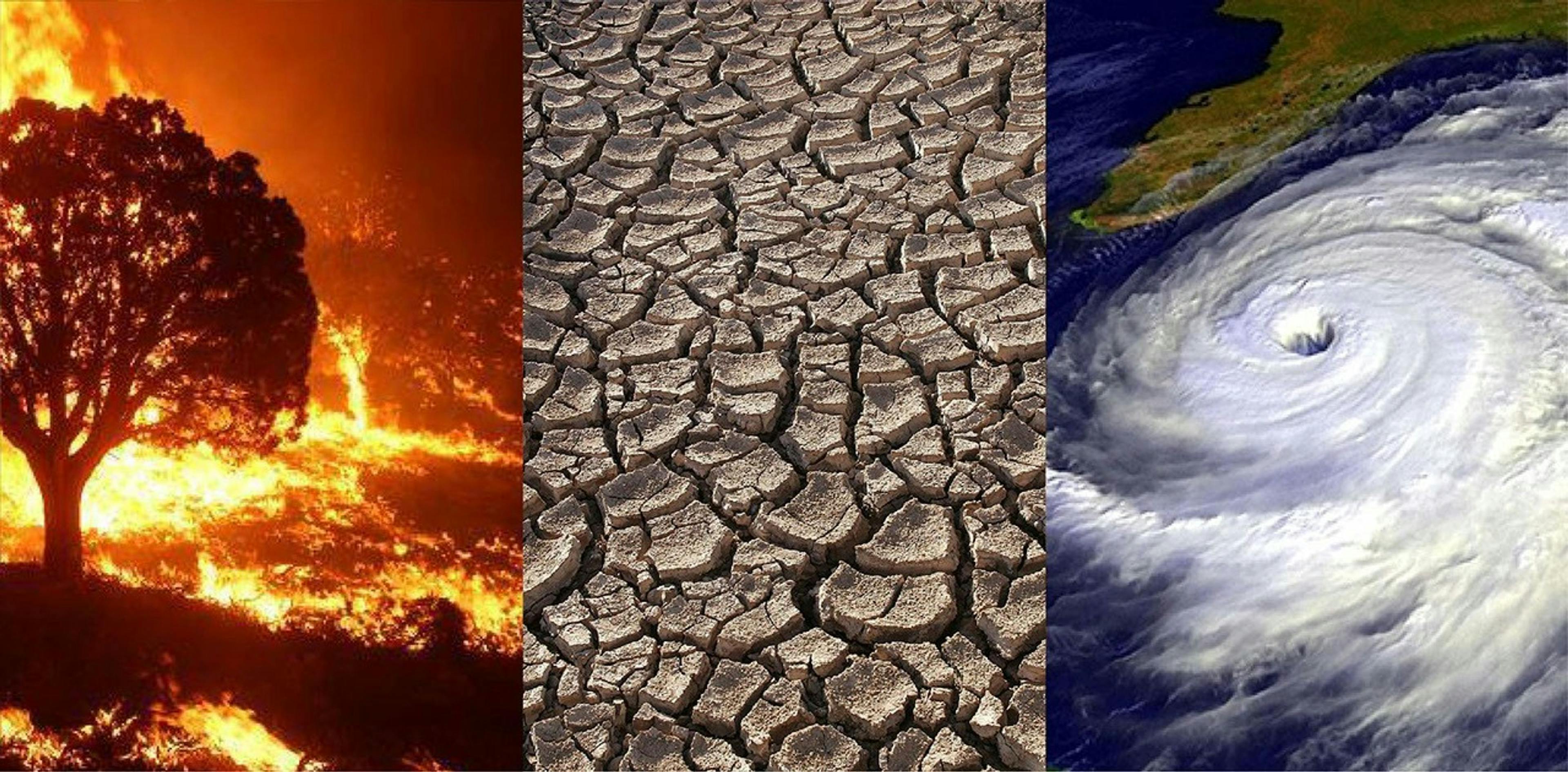 featured image - The Climate Cost of Centralized Clouds
