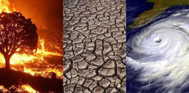 /the-climate-cost-of-centralized-clouds feature image
