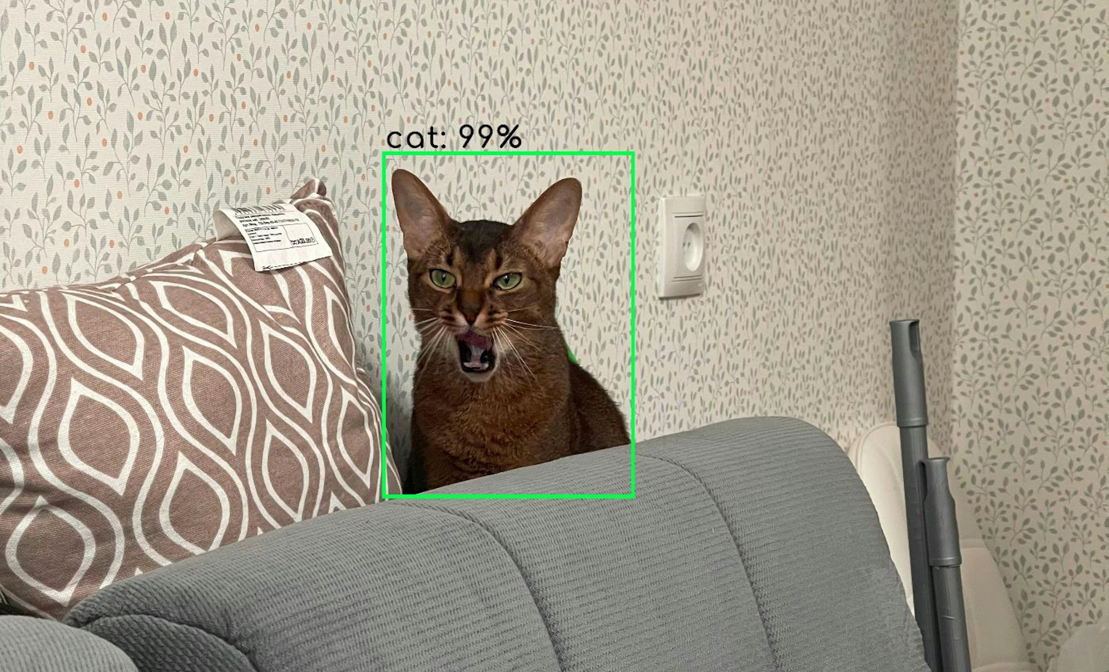 featured image - Object Detection Frameworks That Will Dominate 2023 and Beyond