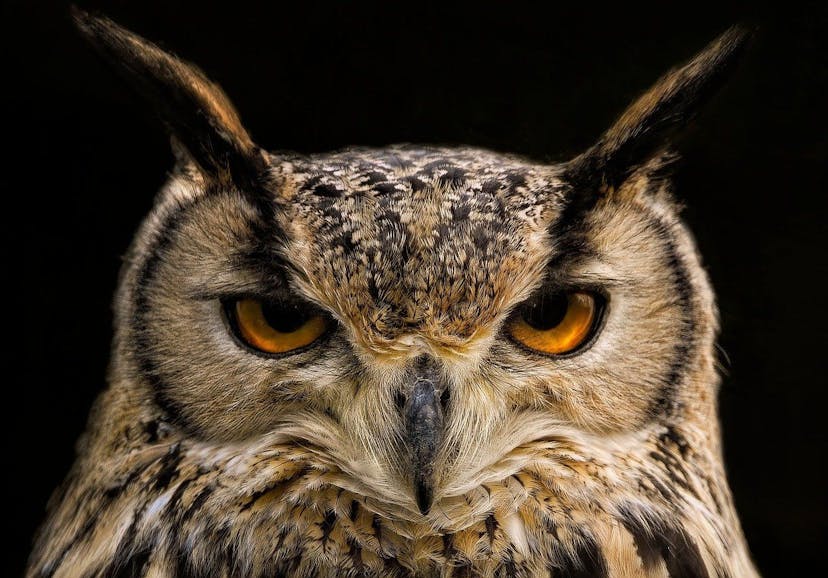 /im-also-done-writing-npm-sort-of feature image
