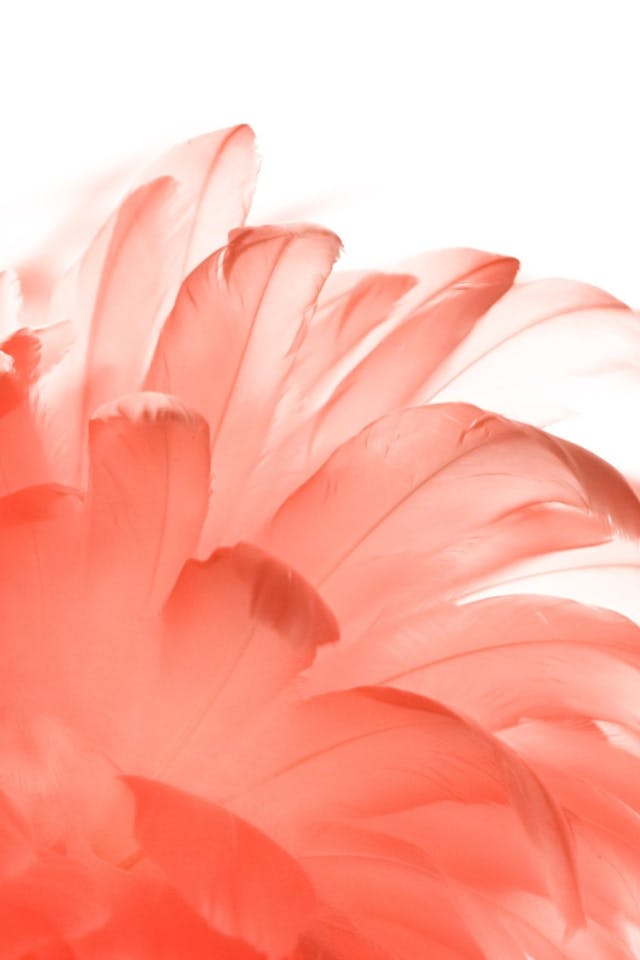 /how-to-set-up-affordable-text-messaging-for-small-businesses feature image