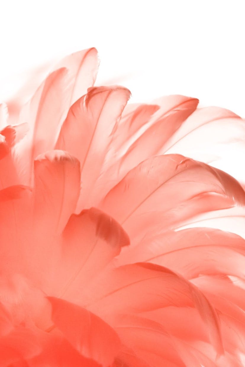 /how-to-set-up-affordable-text-messaging-for-small-businesses feature image