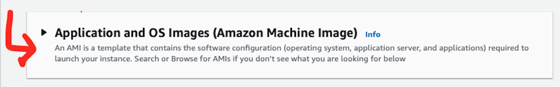 The screenshot of AWS web page with the pointer to "Application and OS Images (Amazon Machine Image)" section