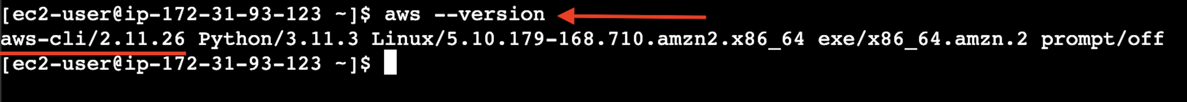 A captura de tela do terminal on-line da instância do servidor virtual AWS EC2 com o resultado do comando da versão aws