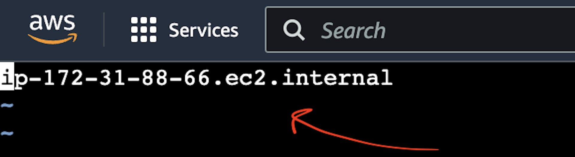 La captura de pantalla de la instancia del servidor virtual AWS EC2 con el archivo de nombre de host