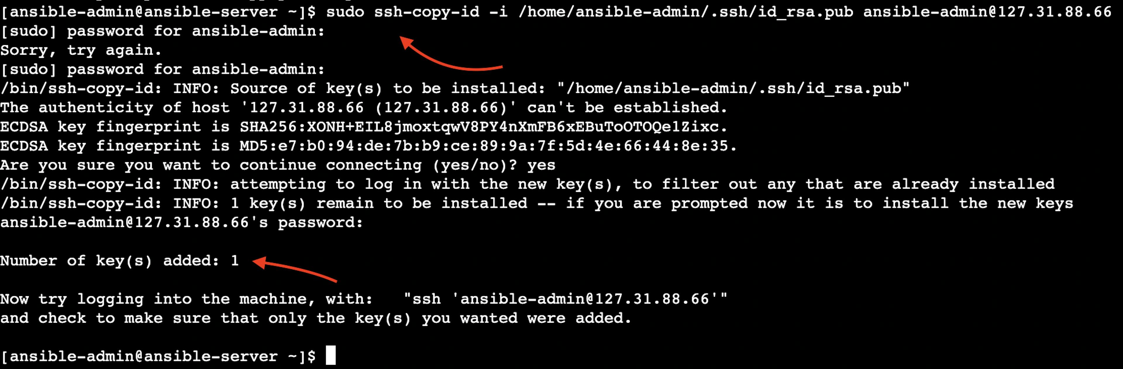 The screenshot of the successful passwordless ssh authentication installation result