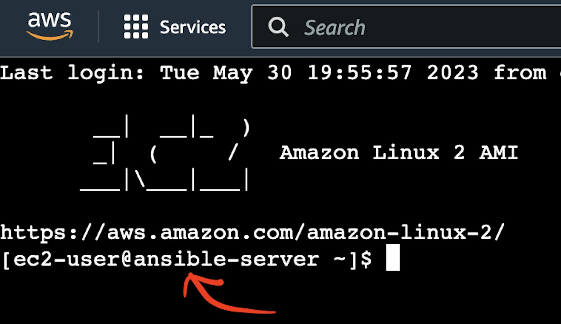 A captura de tela do terminal de instância do AWS EC2 Virtual Server com o ponteiro para o nome do host