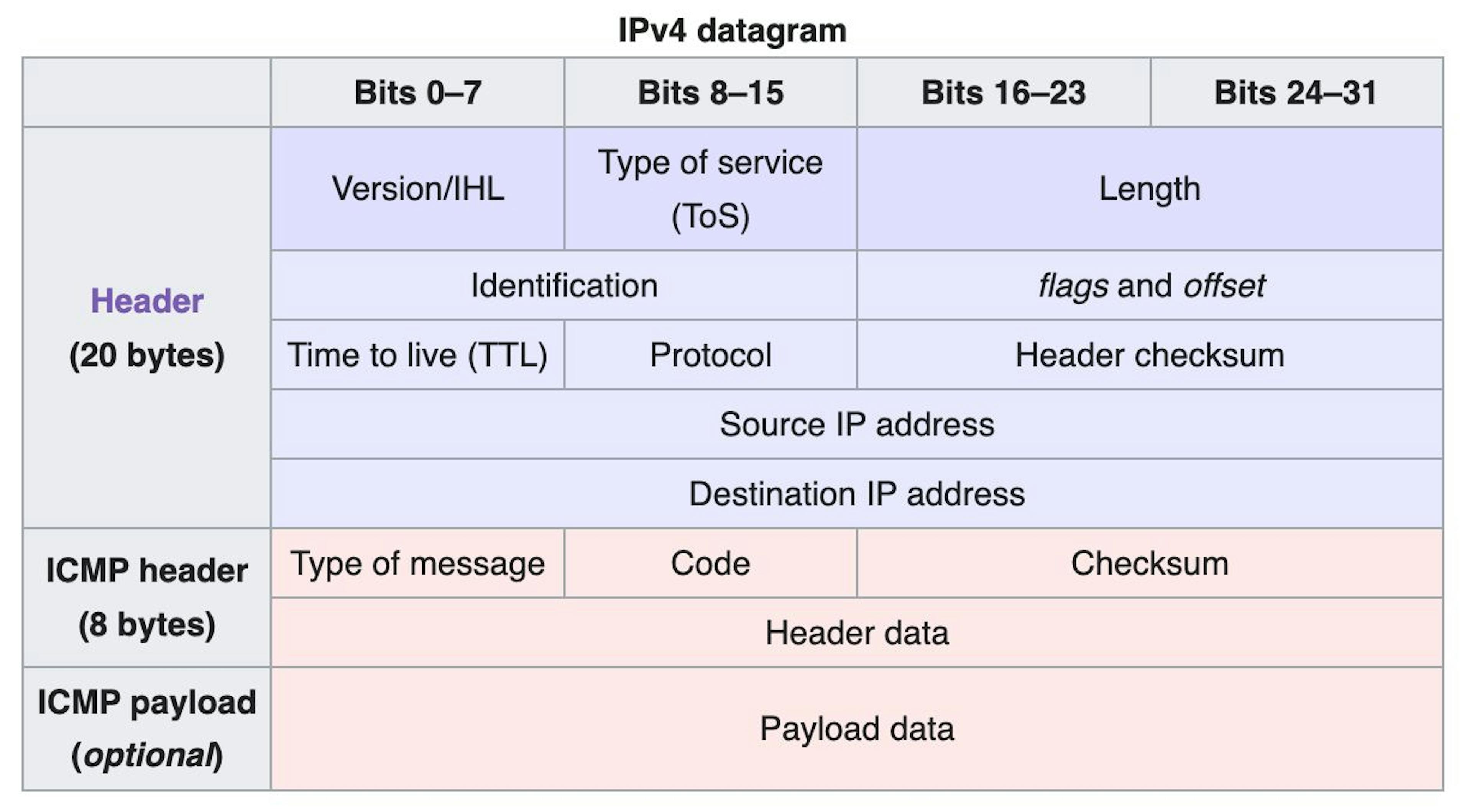 Full IPv4 datagram