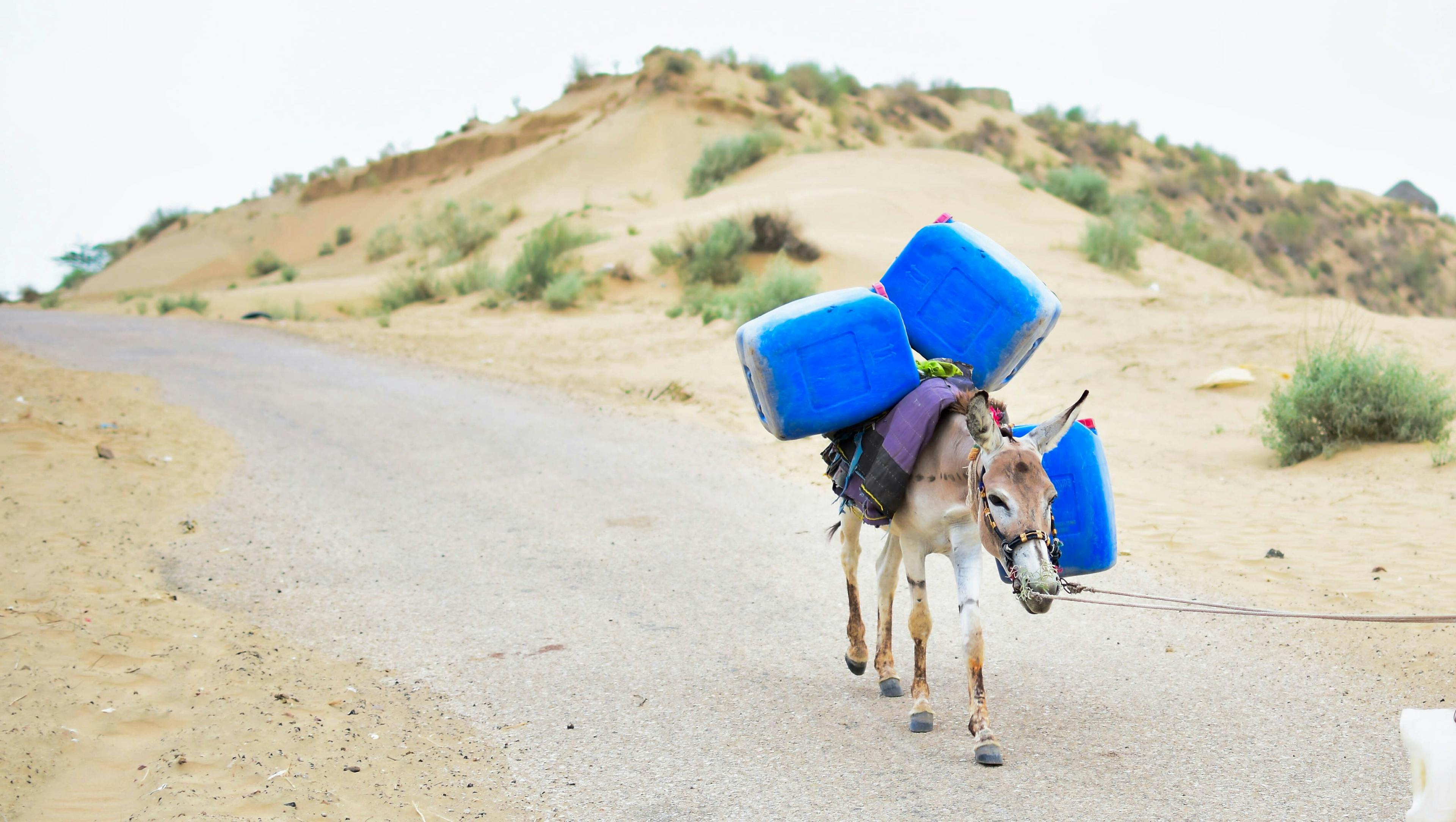 featured image - 6 Critical Flaws That Can Crash Your Website or App Under Load