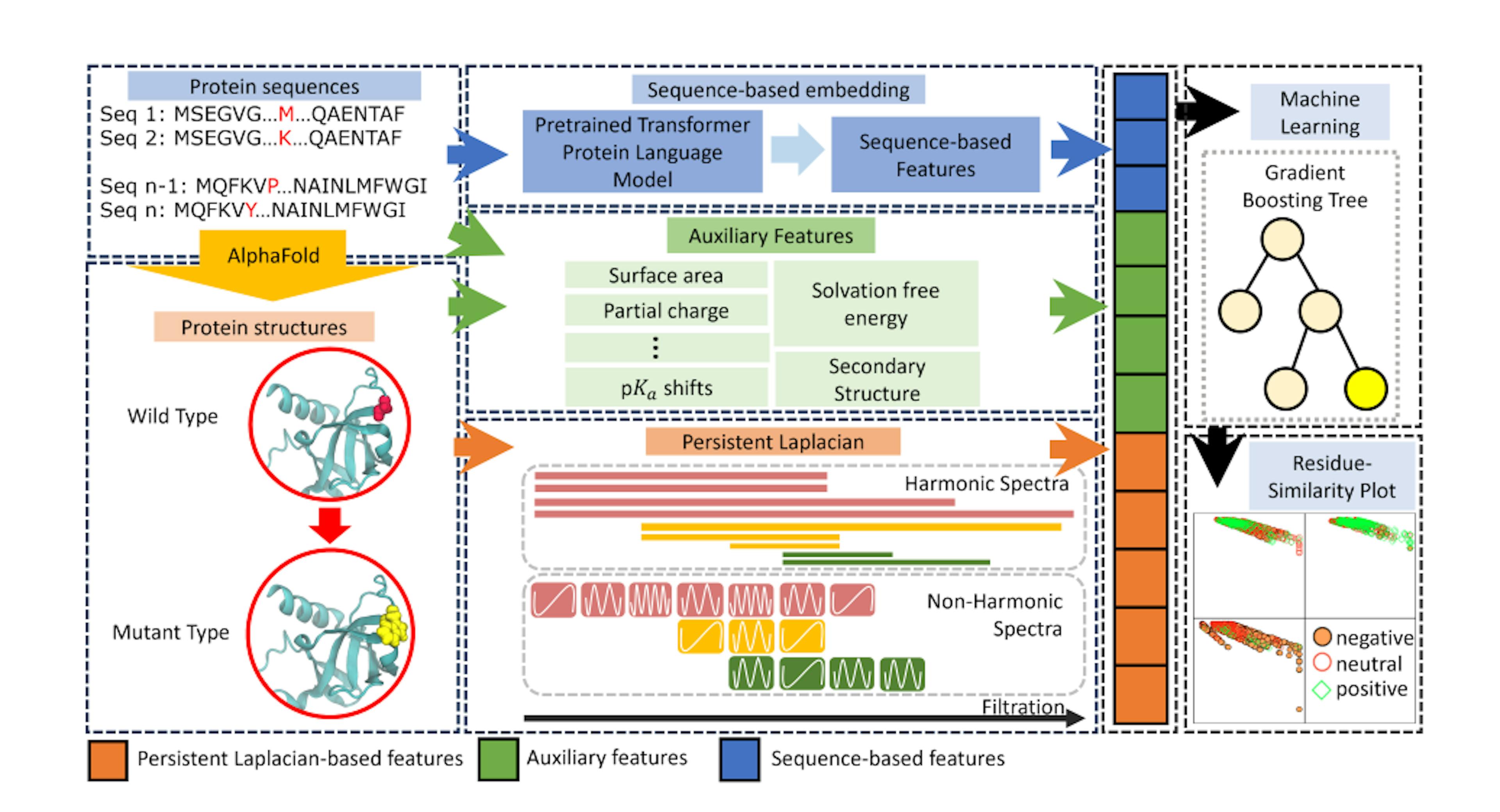 Figure 1: The illustration of the workflow for TopLapGBT. Protein sequences are first preprocessed by AlphaFold 2 to generate wild type protein structures. Mutant proteins are generated from the Jackal software [38]. The structure-based features from persistent Laplacian, auxiliary and sequence-based features are then concatenated to form a long feature input for gradient boosting tree to classify the protein solubility changes upon mutation. The predicted labels are also analyzed on Residue-Similarity (R-S) plots.