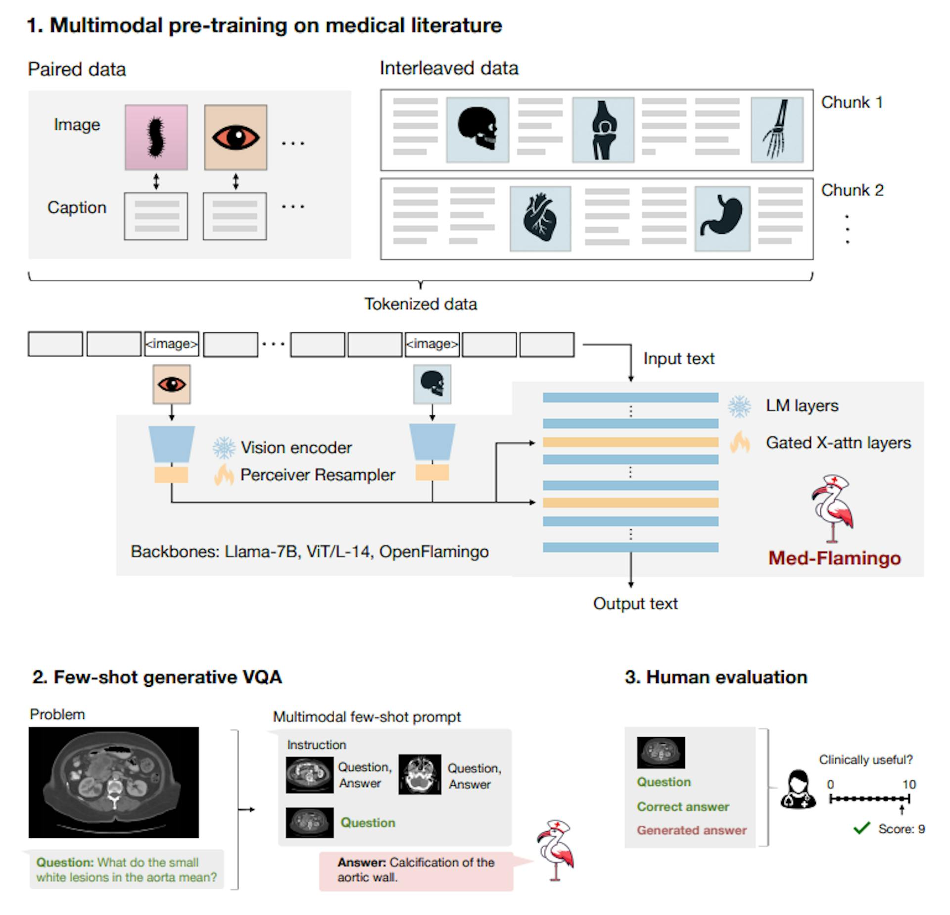 Figure 2: Overview of the Med-Flamingo model and the three steps of our study. First, we pre-train our Med-Flamingo model using paired and interleaved image-text data from the general medical domain (sourced from publications and textbooks). We initialize our model at the OpenFlamingo checkpoint continue pre-training on medical image-text data. Second, we perform few-shot generative visual question answering (VQA). For this, we leverage two existing medical VQA datasets, and a new one, Visual USMLE. Third, we conduct a human rater study with clinicians to rate generations in the context of a given image, question and correct answer. The human evaluation was conducted with a dedicated app and results in a clinical evaluation score that serves as our main metric for evaluation.