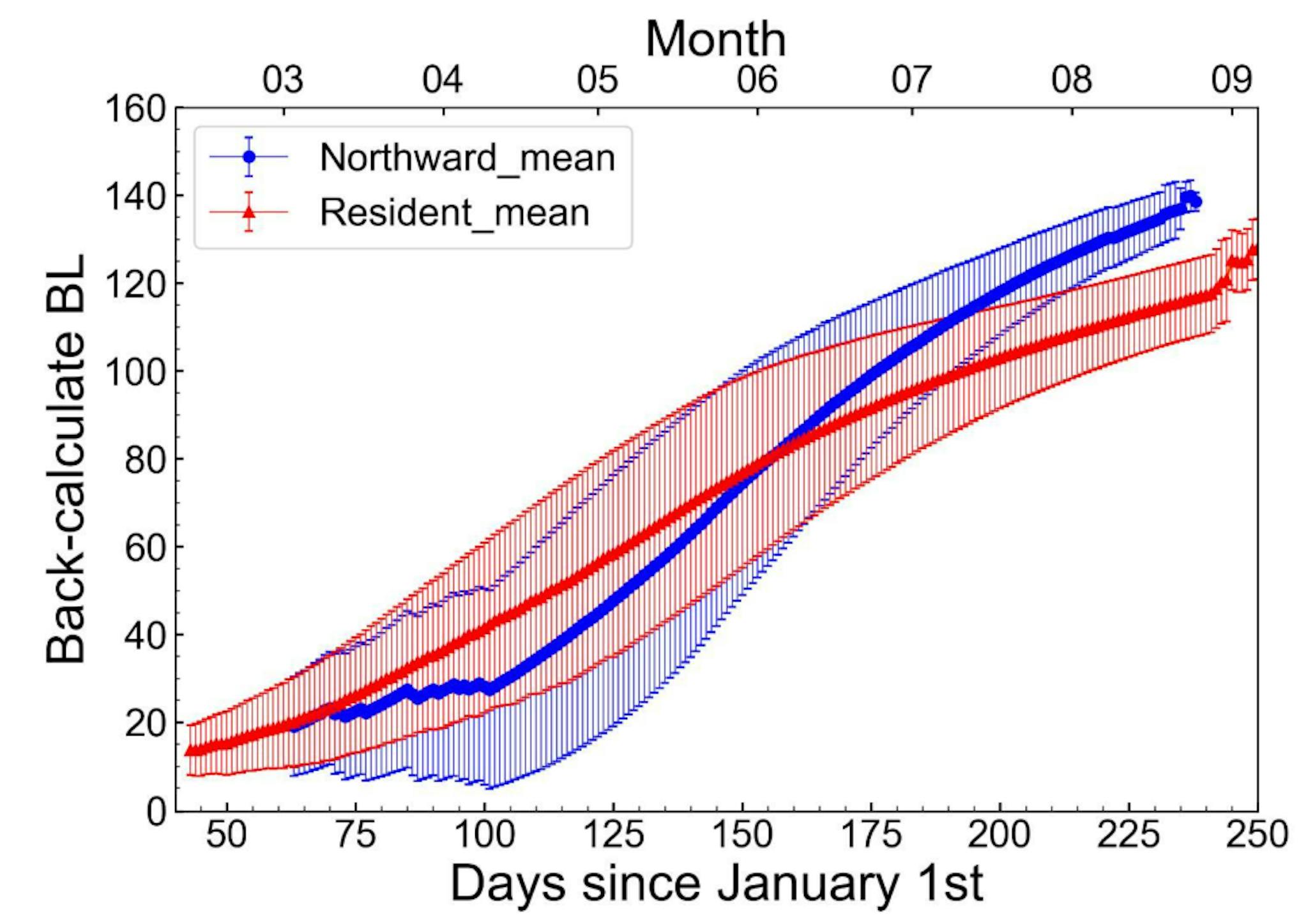 Fig. 6: Back-calculate body length (BL) of the northward migration group (blue line) and the resident group (red line) at each calendar day.