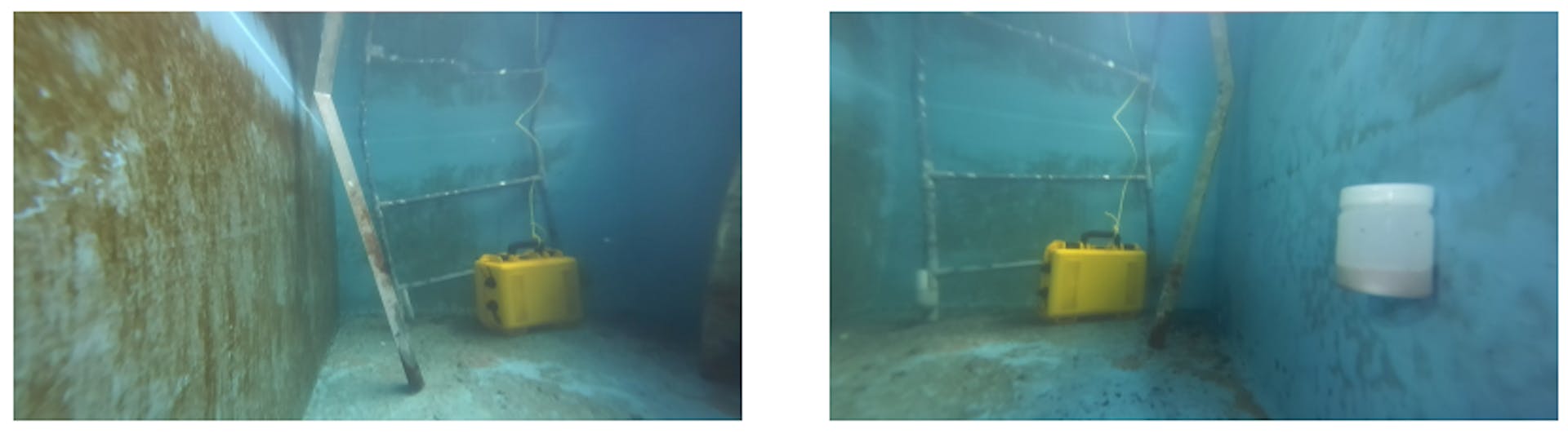 Fig. 2. Example images from our underwater tank datasets.