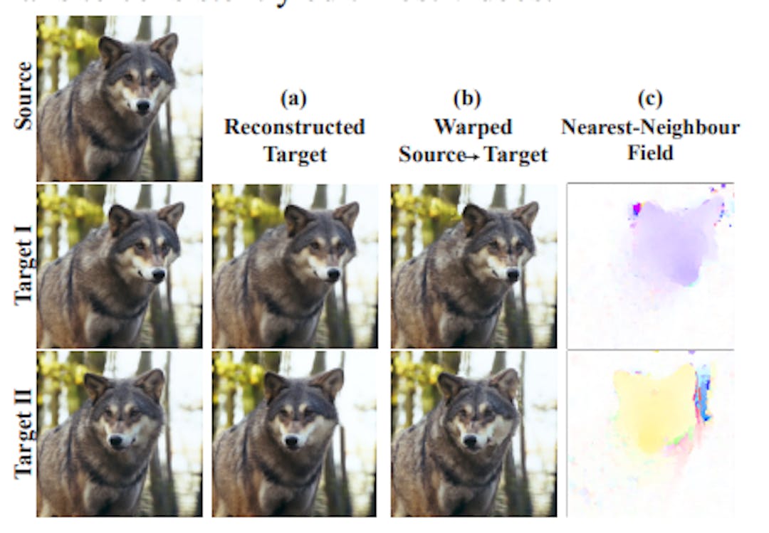 Figure 2: Fine-grained feature correspondences. Features (i.e., output tokens from the self-attention modules) extracted from of a source frame are used to reconstruct nearby frames. This is done by: (a) swapping each feature in the target by its nearest feature in the source, in all layers and all generation time steps, and (b) simple warping in RGB space, usinga nearest neighbour field (c), computed between the source and target features extracted from the highest resolution decoder layer. The target is faithfully reconstructed, demonstrating the high level of spatial granularity and shared content between the features.