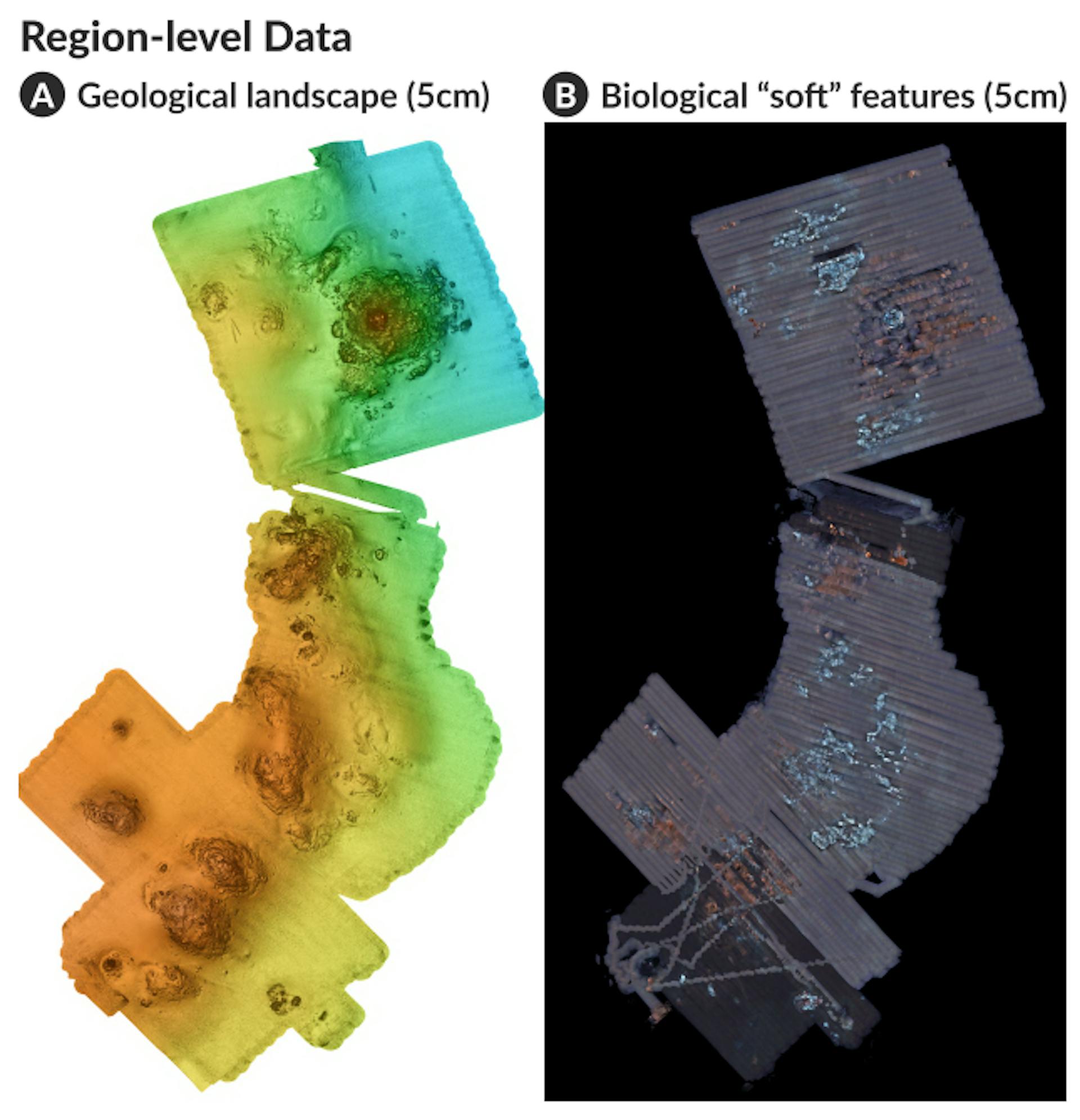 Figure 2: Region-level data represented as maps, provided by [37]. Maps reveal two important features: (A) geological landscapes, such as locations of hydrothermal vent mounds and chimneys, visualized by topography from AUV and lowaltitude survey system (LASS) multibeam surveys; and (B) surface biological and ephemeral “soft” features, such as white patches of microbial mats growing in hydrothermal fluids, visualized by photomosaics, acoustic backscatter and LIDAR bathymetry. DeepSee solves a critical challenge of combining region-, core-, and sample-level data in a single interface using expressive and interactive visualizations (Sect. 5).