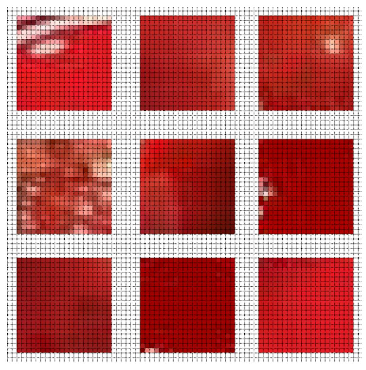 그림 3.2: 혈액이 포함된 20 × 20 크기의 샘플 절단 영역을 보여주는 그림.