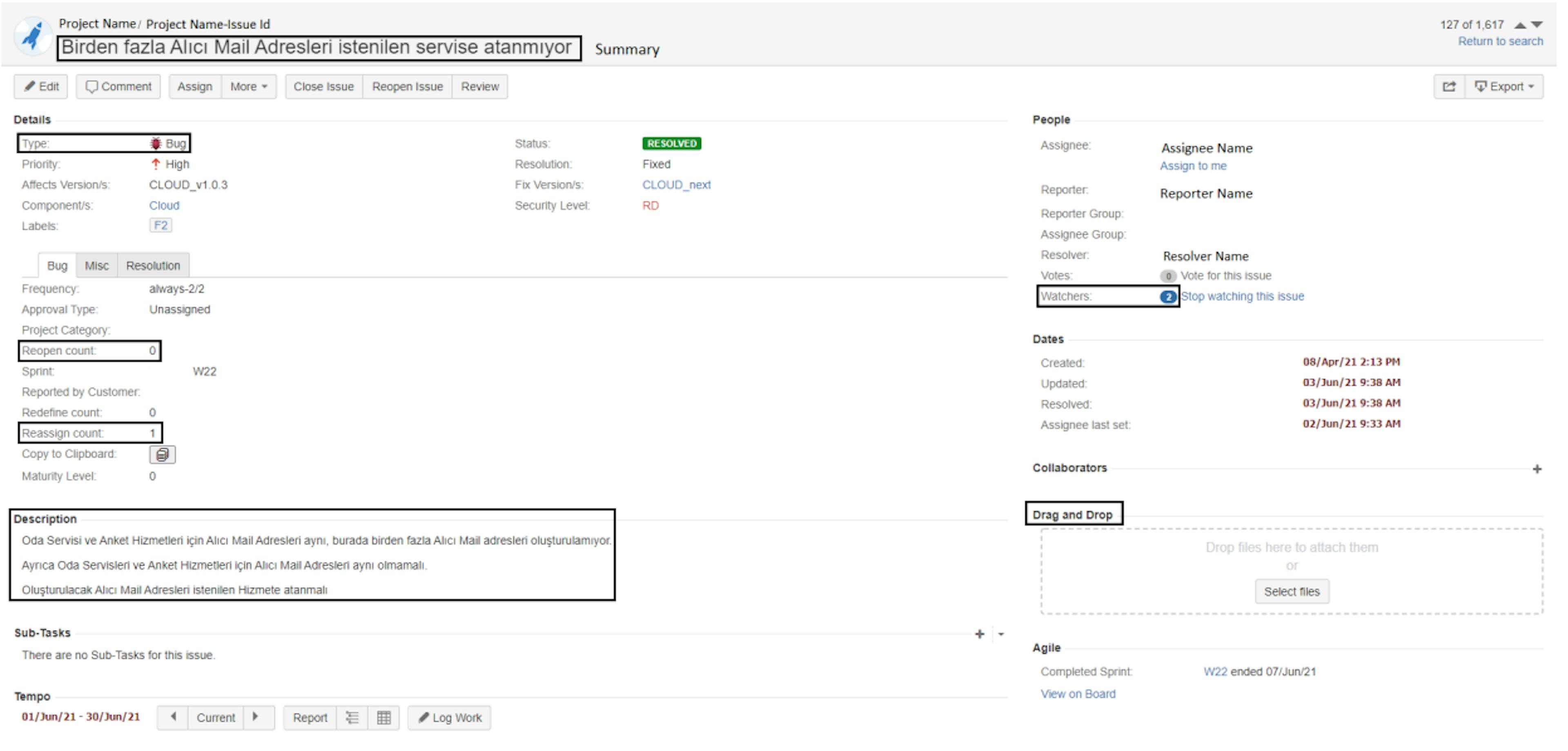 Fig. 1: An example issue from the Jira interface of the company.