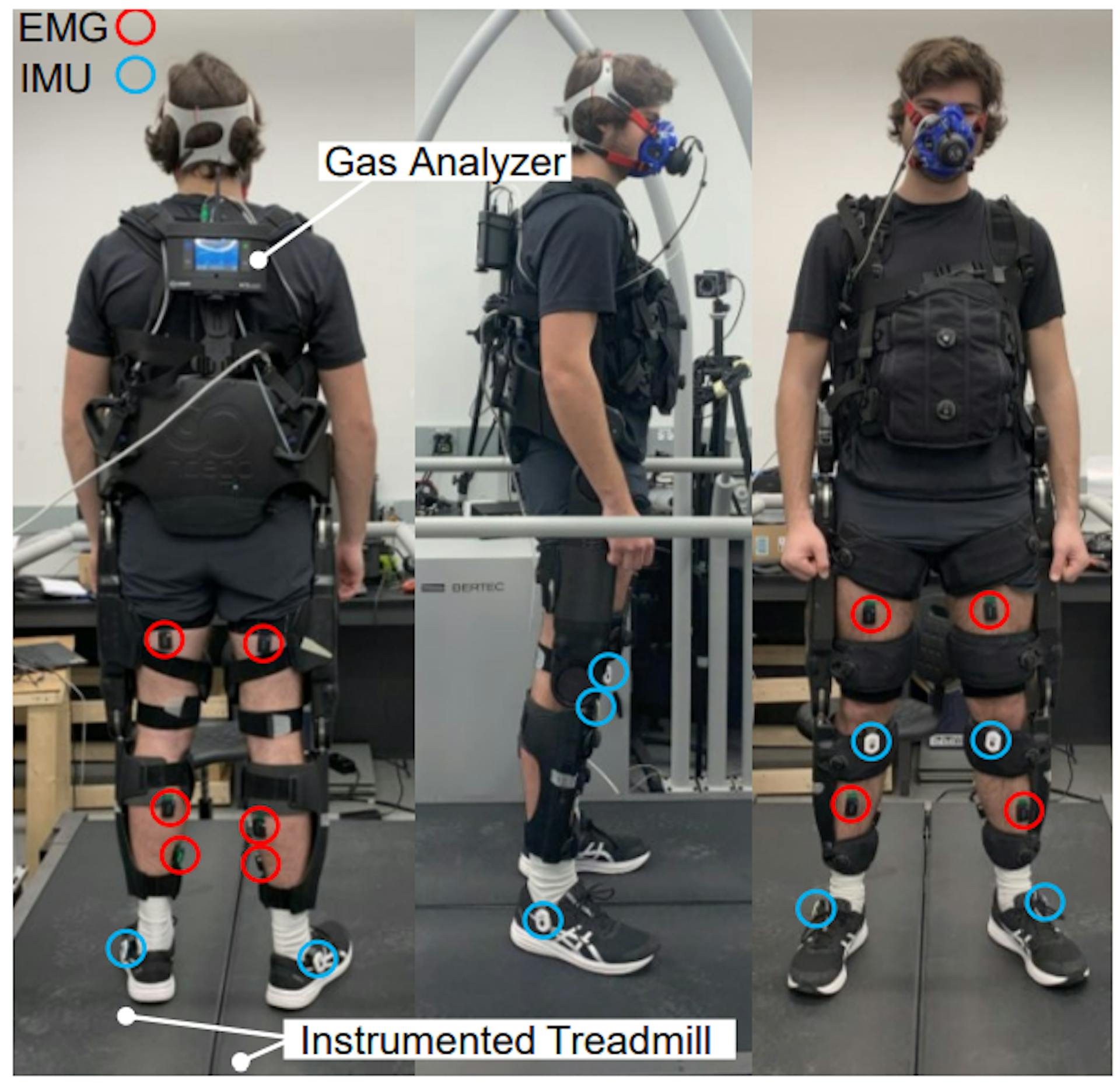 Fig. 9 Dorsal, lateral, and frontal view of a participant with the Indego exoskeleton with active hip and knee joints. The participant is standing on the Bertec treadmill with two speed-controlled belts equipped with individual loadcells underneath each of them for GRF monitoring. Muscle activation is measured from both right and left leg muscles using EMG sensors. Gait up IMUs are clipped to the outer side of the shoes right bellow ankle joints to measure the spatiotemporal parameters of gait. Oxygen uptake of the participant is measured and recorder at each breath through a mask connected to the gas analyzer device carried at the back of the participant.