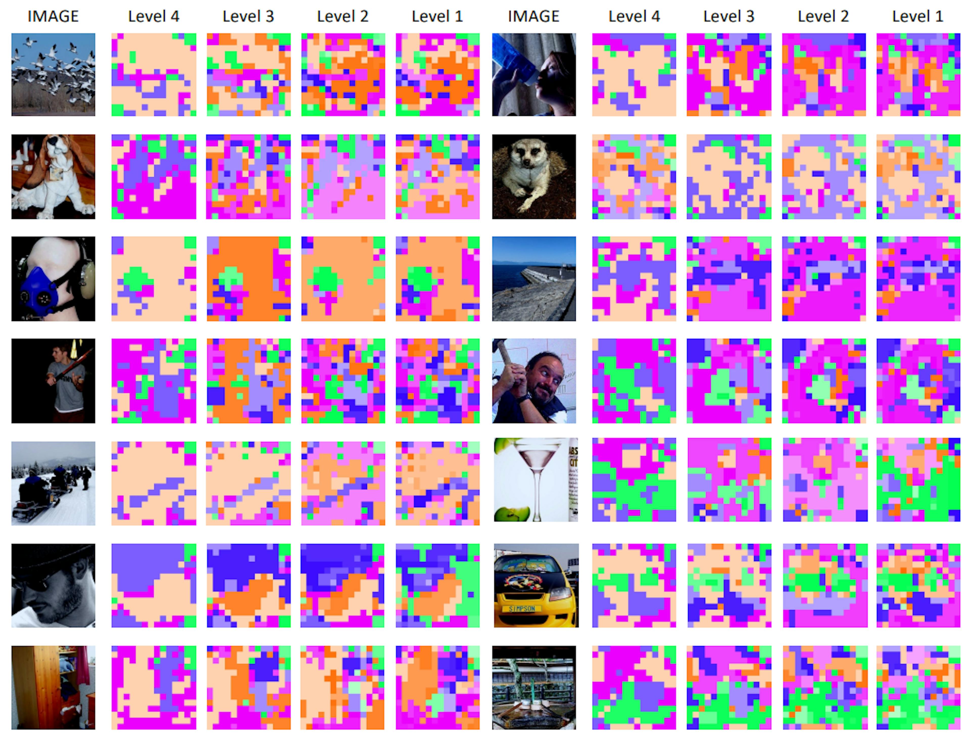 Figure 8. Visualization of visual hierarchy trees decomposed by Hi-Mapper(ENB4) trained on ImageNet-1K [36] with classification objective. The same color family represents the same subtree.