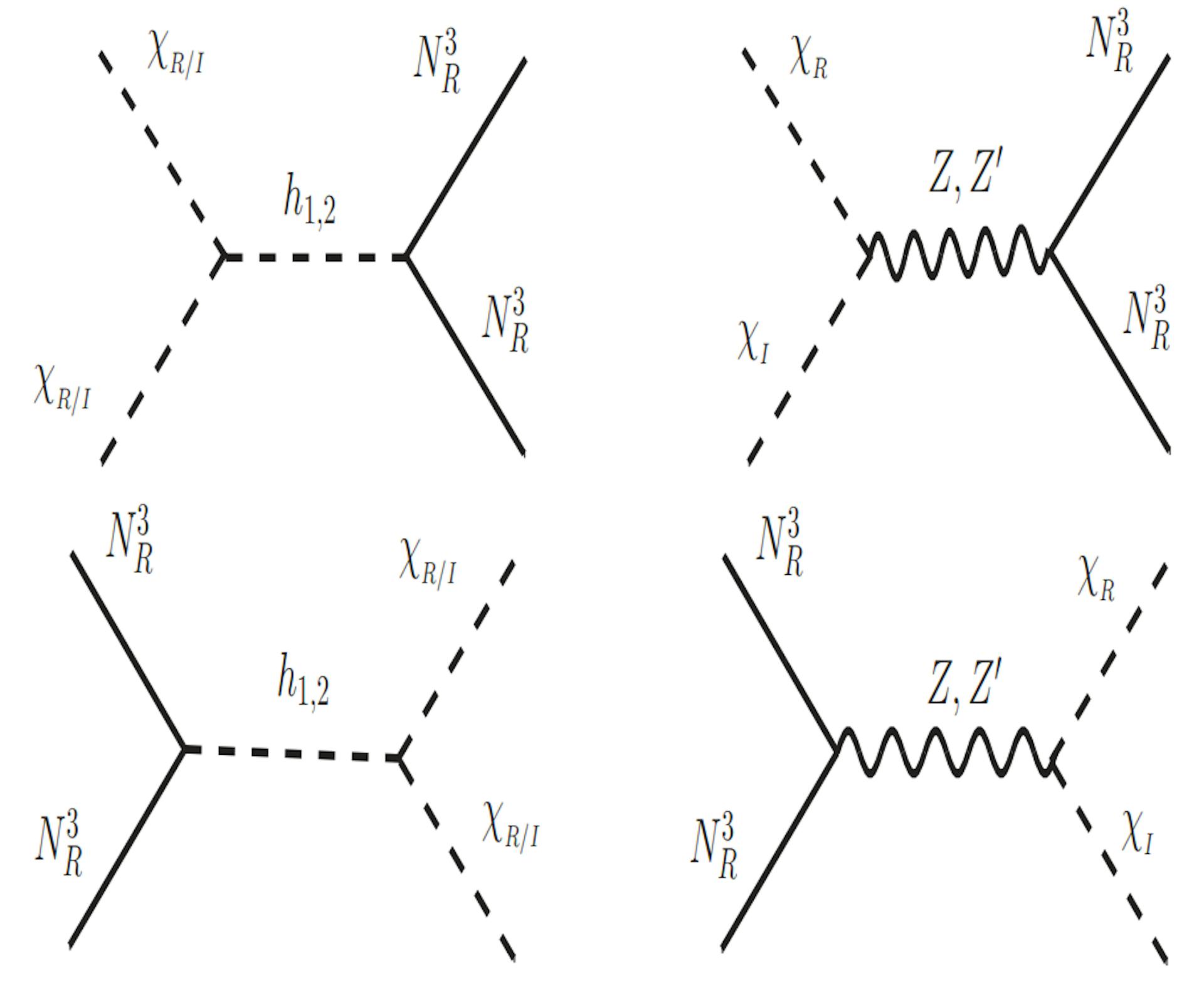 Figure 3.3: The conversion channels which contribute to the two-component DM scenario.