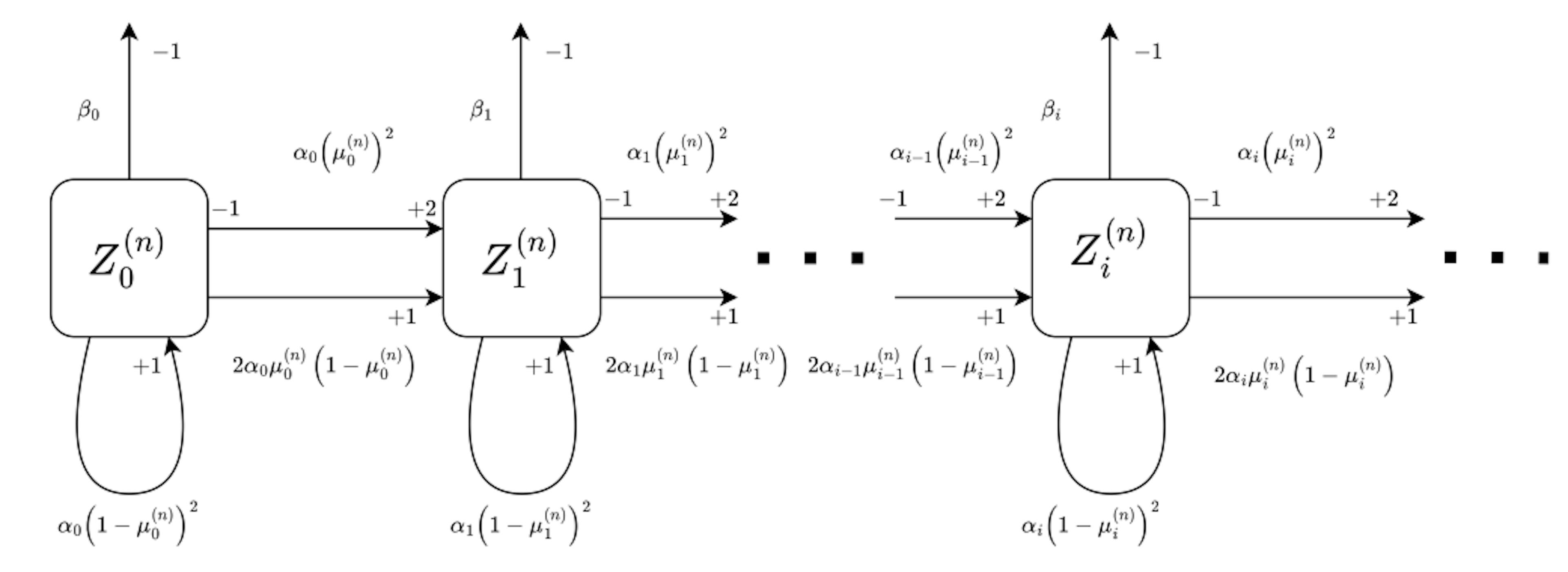 Figure 5: Dynamical representation of the infinite mono-directional graph