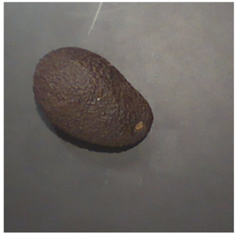 Fig. 8. Cropped Avocado Image for Vision-only Property Prediction.
